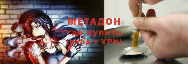 индика Алексин