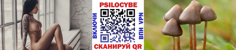 Псилоцибиновые грибы мухоморы  сайты даркнета Telegram  Цимлянск 